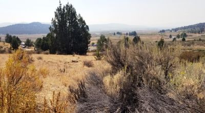 Huge Views of the Sprague River Valley