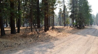 Keno Oregon Heavily Wooded Building Lot - Over One Acre - Power