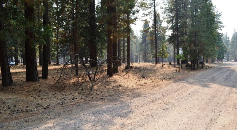 Keno Oregon Heavily Wooded Building Lot - Over One Acre - Power