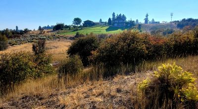 Huge Views - Bowl type setting - End of cul-de-sac near Henzel Park & Agency Lake