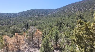 Santa Fe County New Mexico 5 acres in the Mountains - Seasonal Creeks