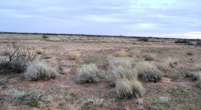 2 acre Parcels - East side of the Florida Mountains - 3 available