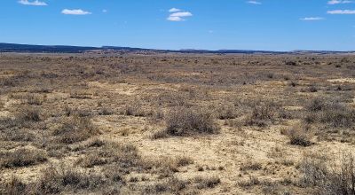 Hwy 509 Frontage - Power at road - Near Ambrosia Lake - Four 1-acre parcels available