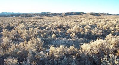 40 acre Mini ranch in the Hills West of Montello