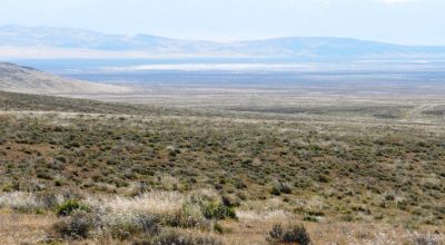 80 acres of Rolling Hills  only $49,000