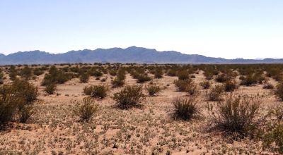 2 Adjoining Lots - Over 2 Acres Total - NW of Dateland AZ