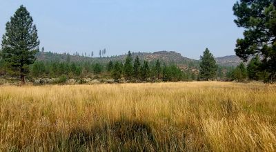 Private 481 acres - 3 sides Winema National Forest - Cooks Canyon - Pines Aspens Spruce Firs