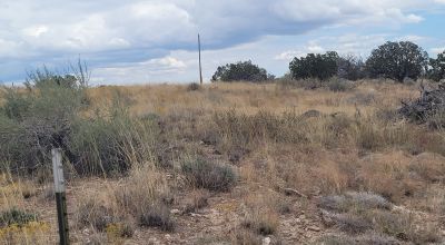 20 acres Scenic New Mexico Huge Southerly Views with Power at the Road