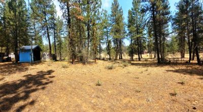 Huge trees. Wet weather stream in back * Fixer upper  or Tear it down and start over again