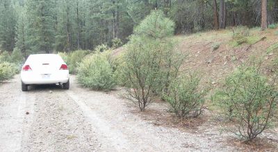 Forested Southern Oregon Property * Residential lot