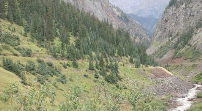 Historic Alpine Loop Southern Colorado - Animas River