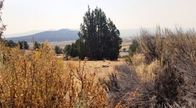 Huge Views of the Sprague River Valley