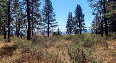 Park Like Settings on Over 2.5  acres Power at Property Line