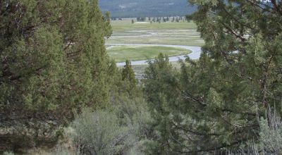 Trees - Views - Klamath Oregon land