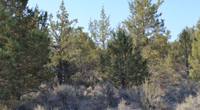 Sprague River & Valley Views * paved Access * Power
