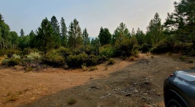 Private 481 acres - 3 sides Winema National Forest - Cooks Canyon - Pines Aspens Spruce Firs