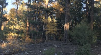 1 Acre Buildable lot in the gated Zapata Subdivision