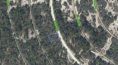 Your Florida Foothold Starts Here | Build Your Winter Home