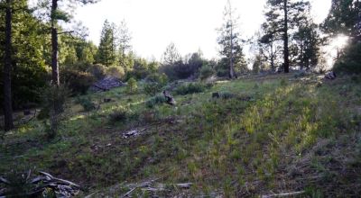 10 acres on the Hill with trees - Easterly Views - 15 miles to Lakeview Oregon