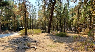 Spacious Treed Parcel - Southerly facing - 5+ acres