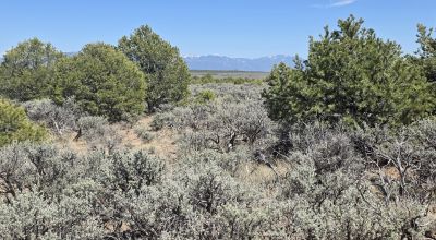 Taos County - Tres Piedras New Mexico 1 acre CAMP, RV, BUILD