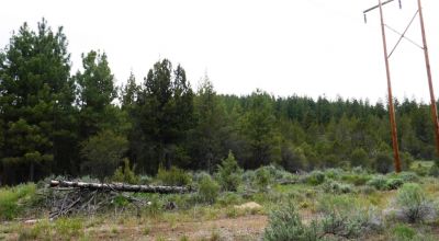 40 acre Forested parcel includes base of the hill and part of the hill - Views Trees