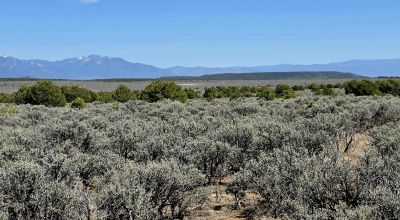 1/2 acre Taos New Mexico - Camp RV Build - Bring the Bus!!