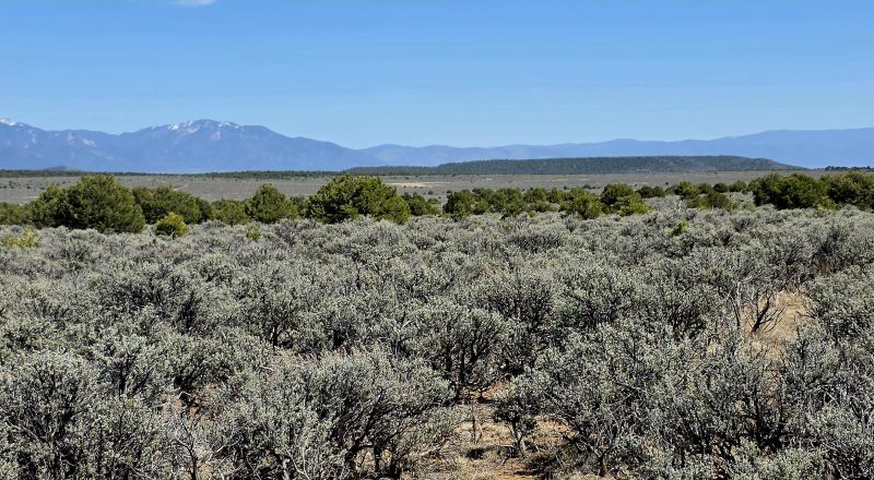 1/2 acre Taos New Mexico - Camp RV Build - Bring the Bus!!