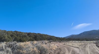 Trees off the Grid cul-de-sac Camp | RV | Build | Mobiles ok