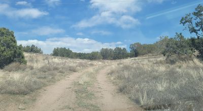 Surrounded by Santa Fe National Forest - Near Las Campanas and Golf Course - 8 Miles from Santa Fe