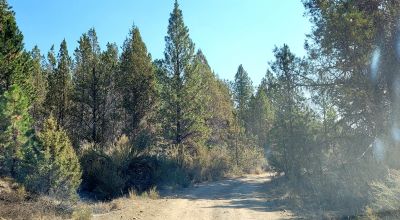Southerly facing parcel above Sprague River Valley *  TREES