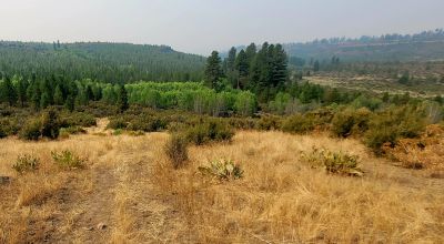 Private 481 acres - 3 sides Winema National Forest - Cooks Canyon - Pines Aspens Spruce Firs