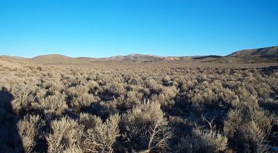 80 acres of wide open spaces Eastern Nevada