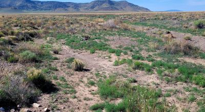 30 acres East of Manassa Colorado - No restrictions