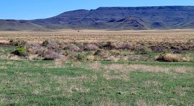 30 acres East of Manassa Colorado - No restrictions