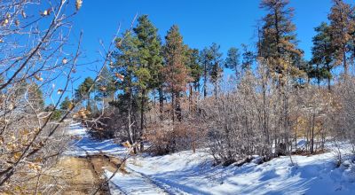 Sherwood Forest 1 acre near Torreon New Mexico - Base of the Manzano Mountains