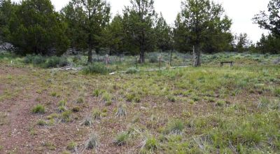 20 acres Oregon Forested Mountain land  near Lakeview & Drews Gap Summit