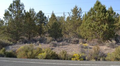 Sprague River & Valley Views * paved Access * Power