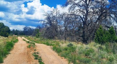 Trees - Huge Views - Over 2.5 Acres