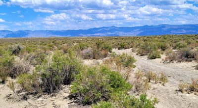 1 Full Section of  Nevada Desert & SAND HILLS  *  1 mile by 1 mile *