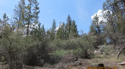 2 adjoining Lots almost 5 acres - Trees - Corner Lot - Camp RV Build