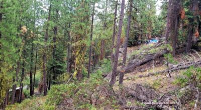 Near Bly Mountain Pass - Huge Trees, Huge Views - Residential Homesite in the trees