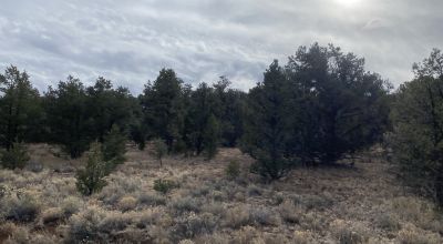 Rare! Bureau of Indian Affairs Inholding 40 acres - New Mexico