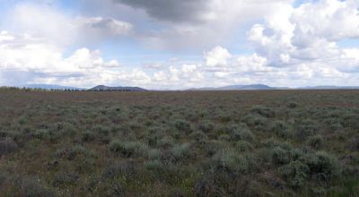 Scenic Oregon 160 acres wide open spaces