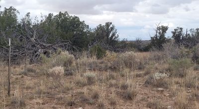 30 acre Central New Mexico Property Windmill Ranch Excellent Roads. Power at Road