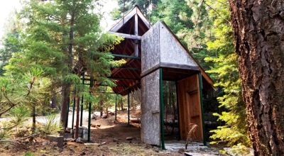 Heavily Forested property with incomplete steel pole metal roof shed/barn