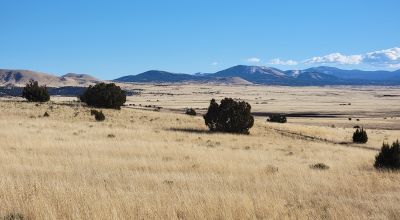 Corner Lot + Adjoining Lot - RV/Tiny Home Ready! 🚙