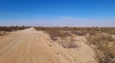 2 adjoining Columbus New Mexico Town Lots