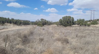 Surrounded by Santa Fe National Forest - Near Las Campanas and Golf Course - 8 Miles from Santa Fe