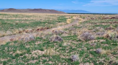 30 acres East of Manassa Colorado - No restrictions